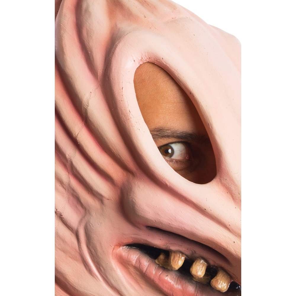 Rubie's mens Beetlejuice Adam costume masks, Multi, One Size US