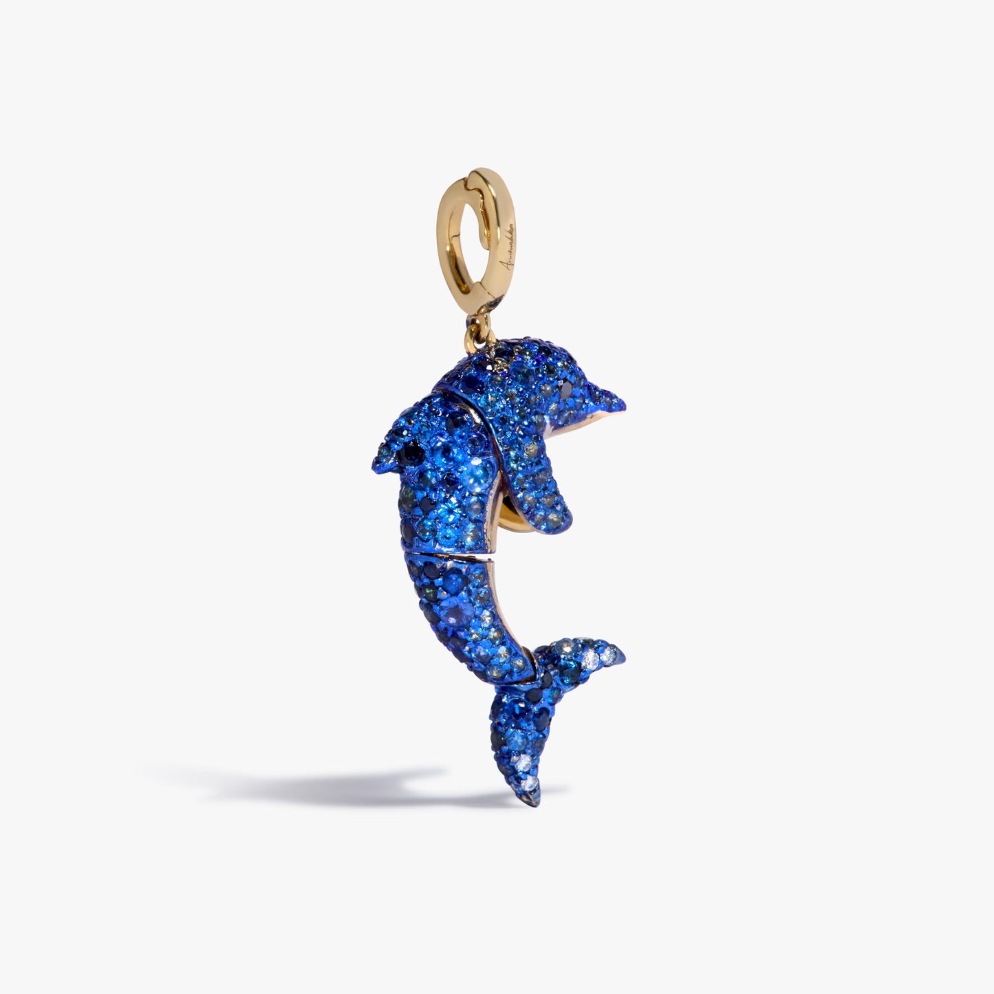 Bert Dolphin Charm